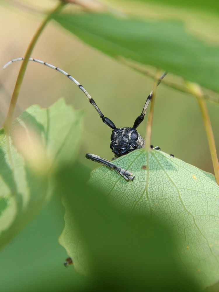 Photograph by Сергей Морозов