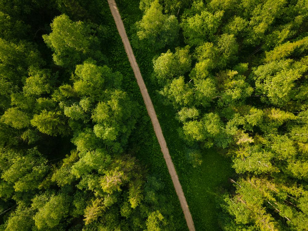 Photograph by Алексей Власов