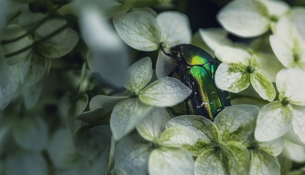 Photograph by Антон Дроздов