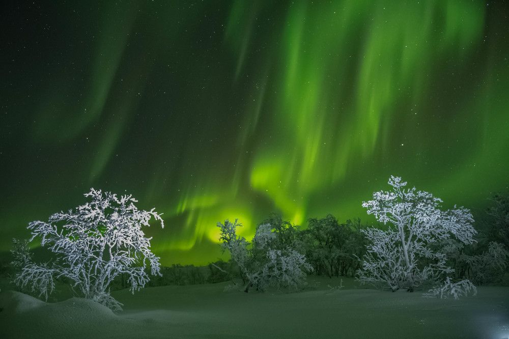 Зеленое пламя Арктики