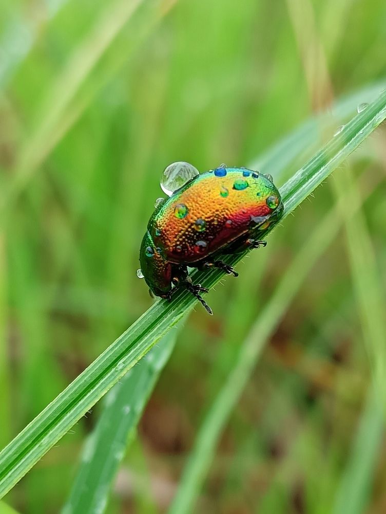 Photograph by Сергей Морозов