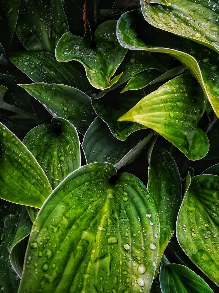 Photograph by Елена Артёменко