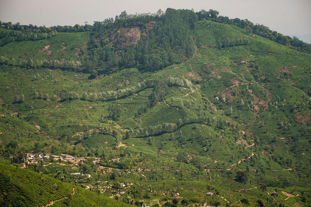 Photograph by Анатолий Румачик