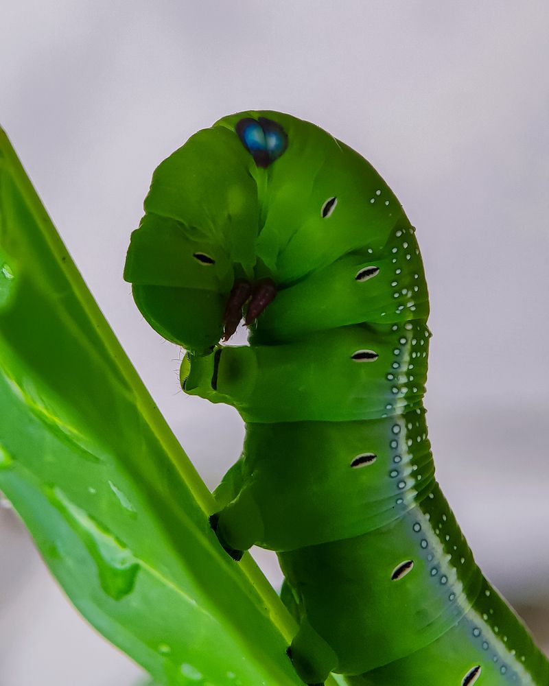 Photograph by sandhya kudli