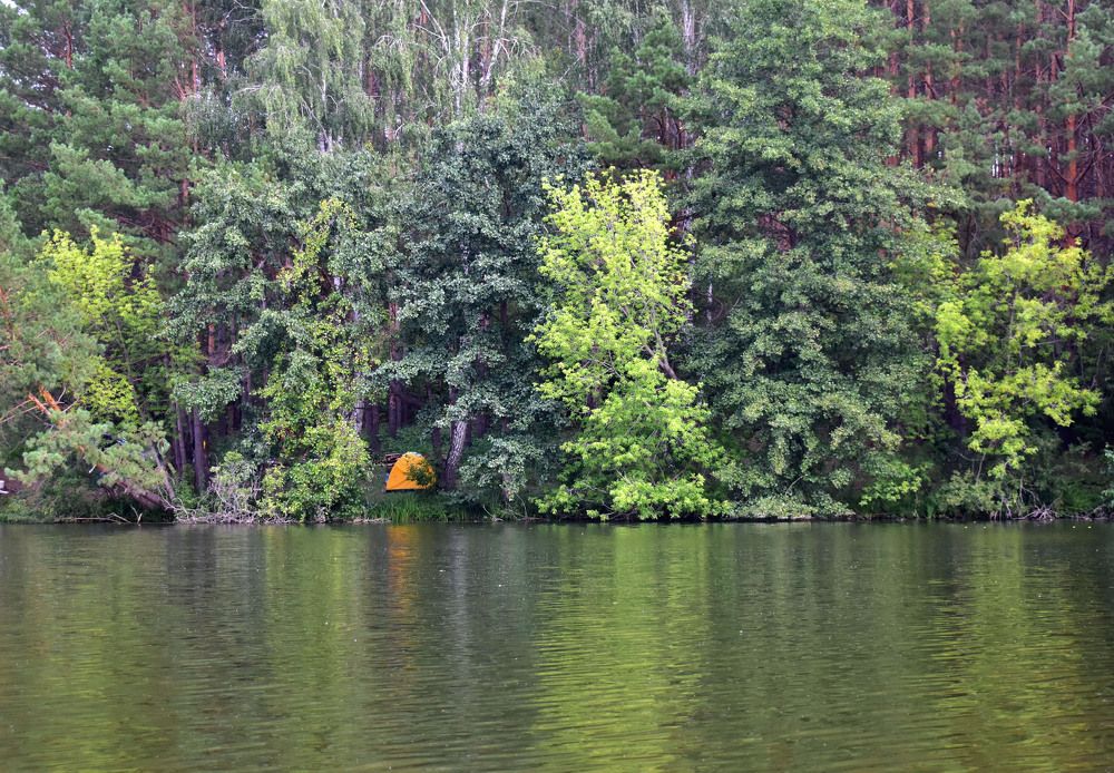 Photograph by Галина Купцова