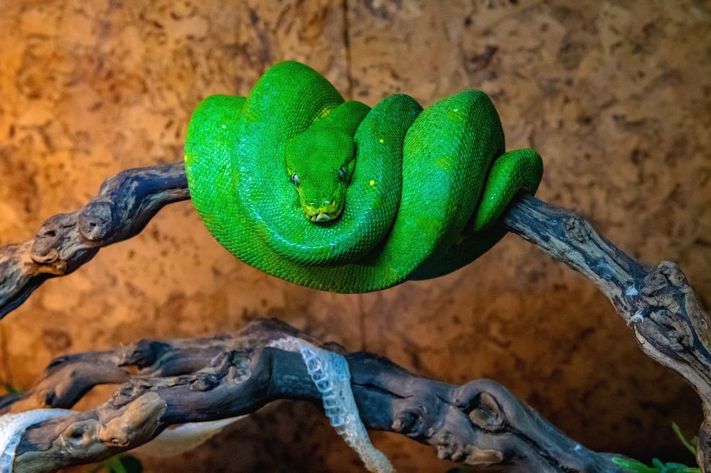 Photograph by Демьян Лопатов