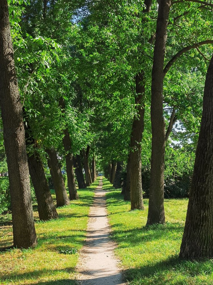 Photograph by Виталий Кореньков