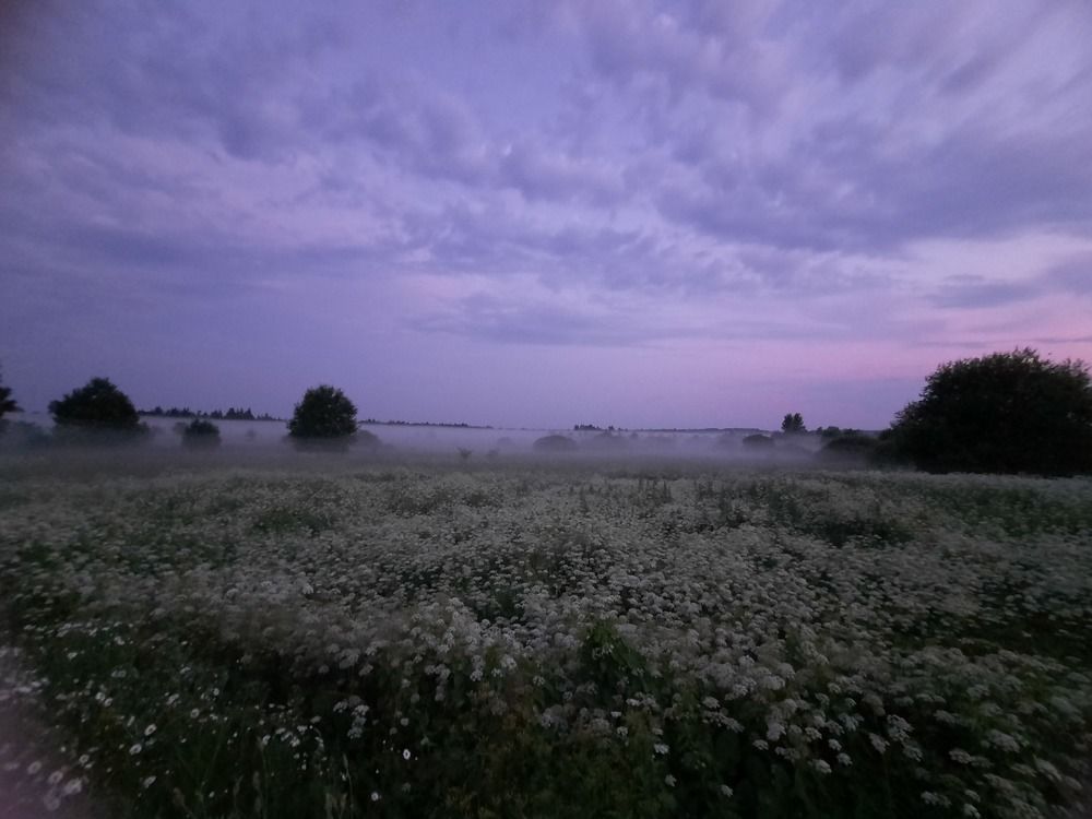 Photograph by Ольга Михайлова