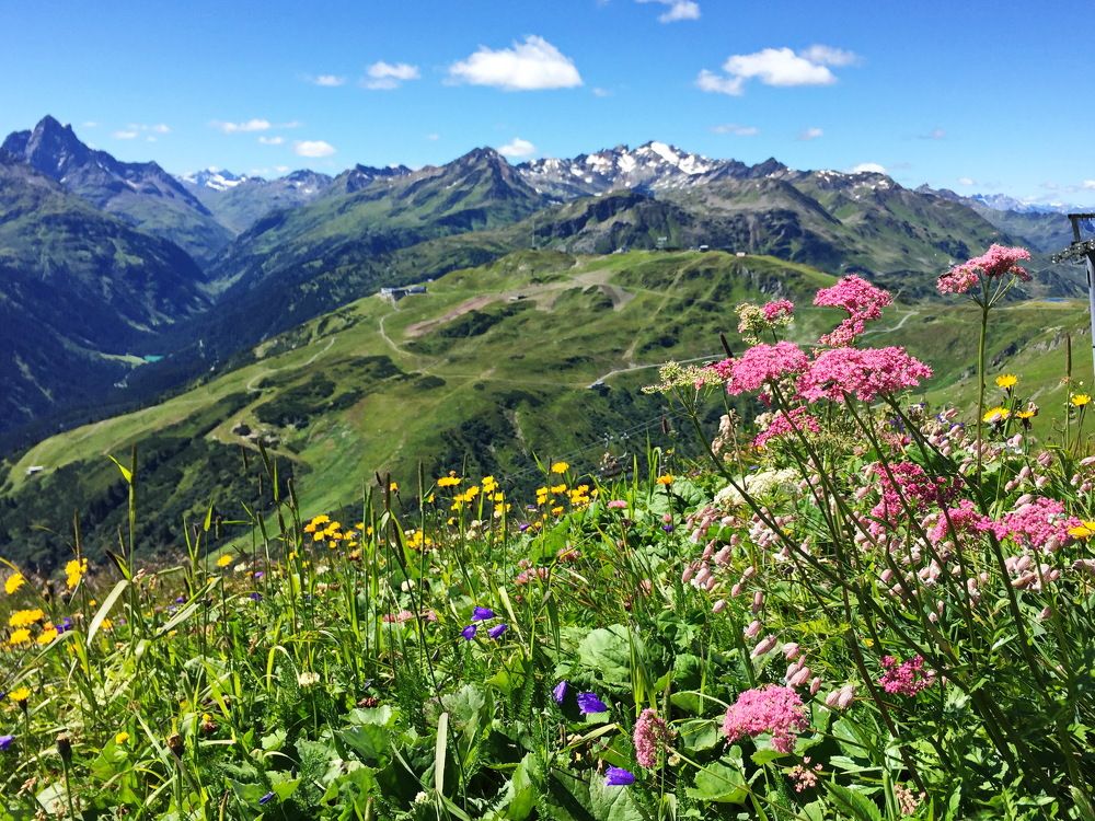 Photograph by Tatiana Serova