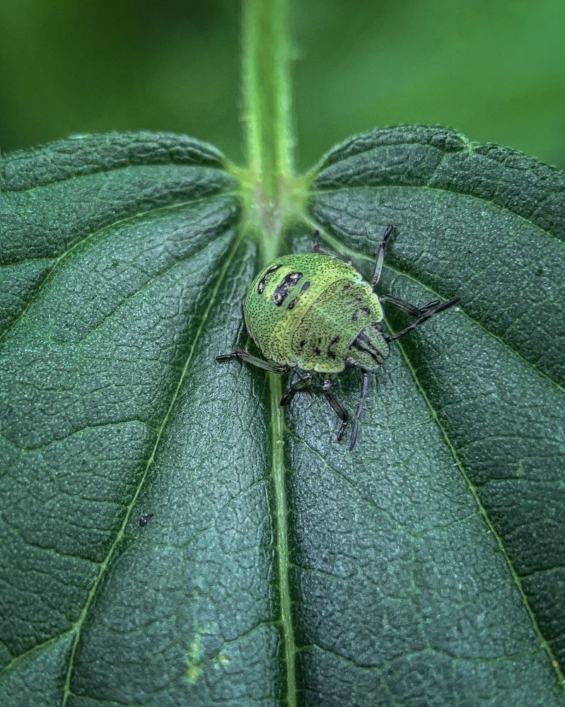 Photograph by T.Ю. Гринько