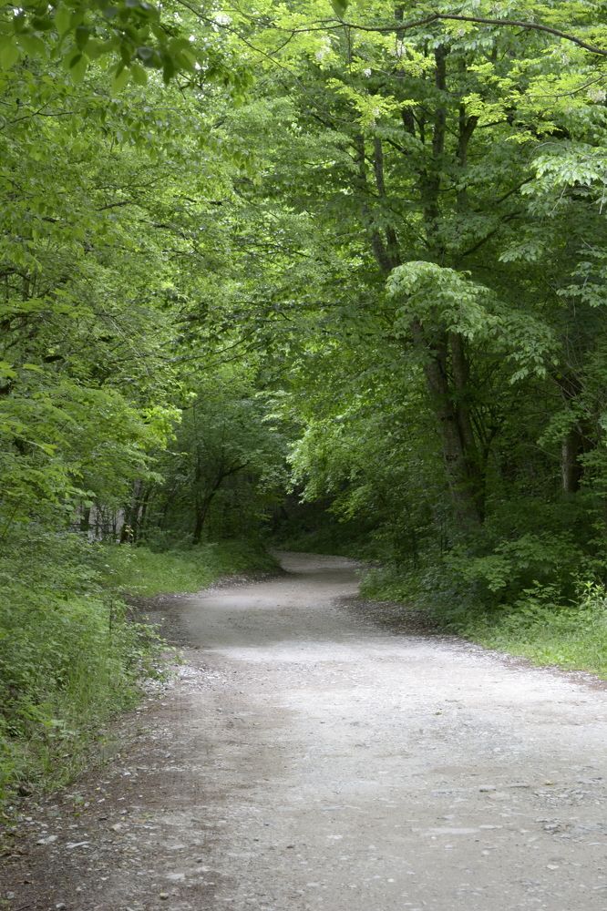 Photograph by Aleksey