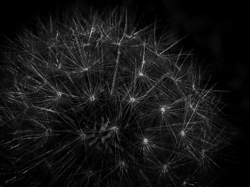 Photograph by Banciu Christine