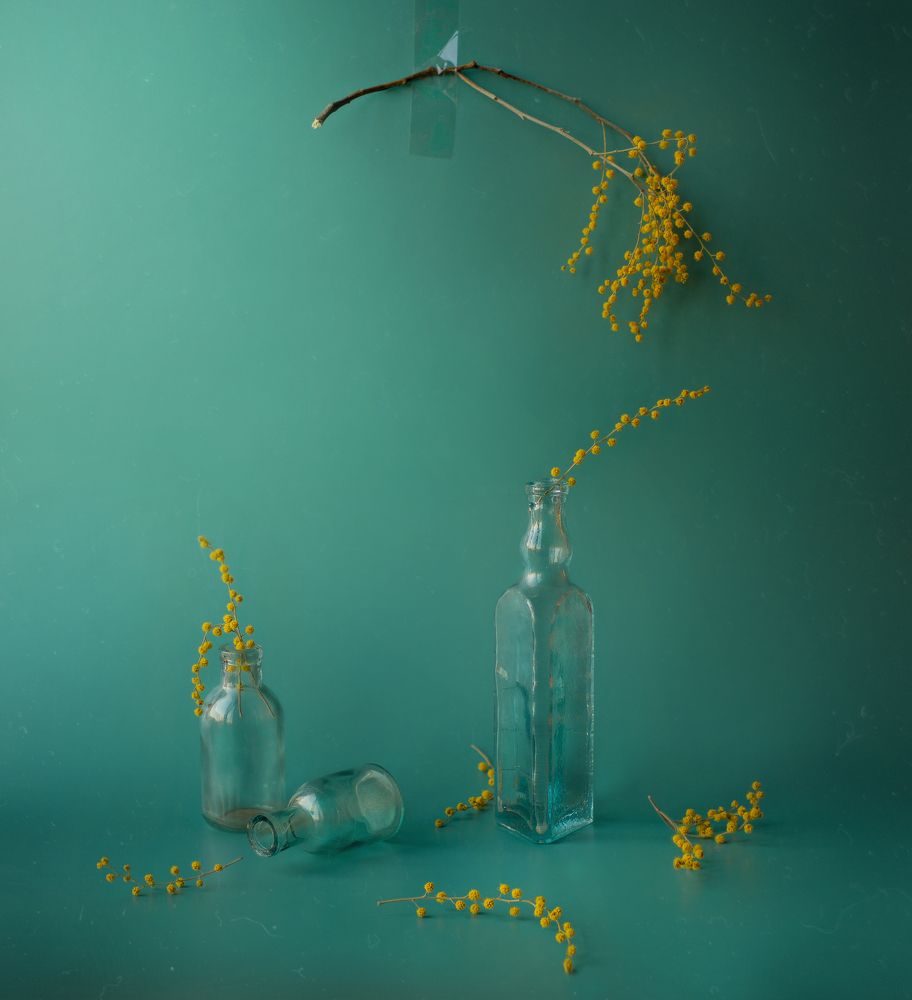 Photograph by Svoboda Andreeva