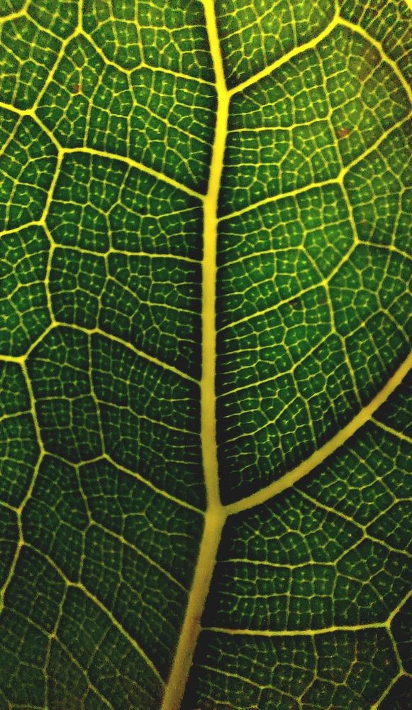 Фотография автора Виталий Петров