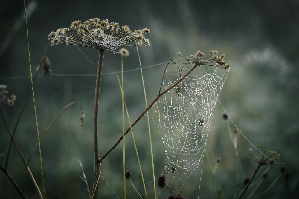 Photograph by Denisa Miazdrová
