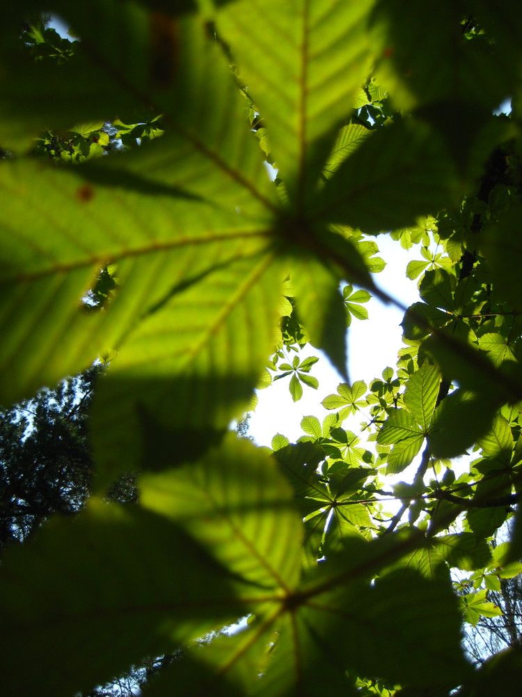 Photograph by Людмила Баглей