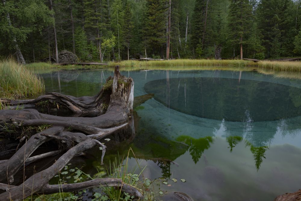 Photograph by Сергей Шерстнев