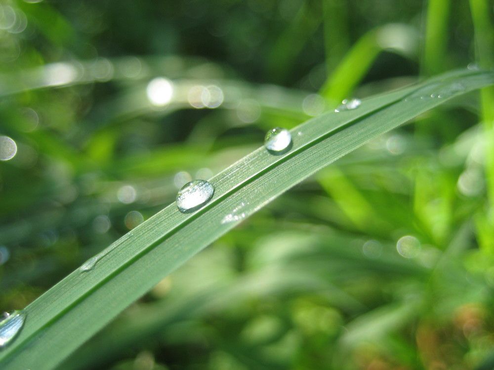 Photograph by Людмила Баглей