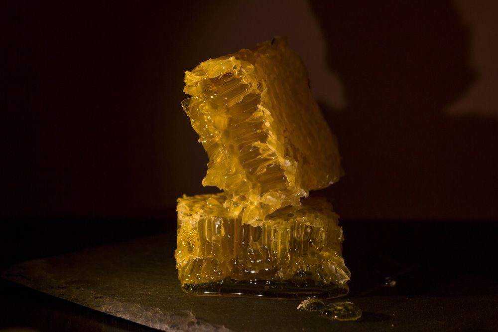 Photograph by Валерия Зайцева