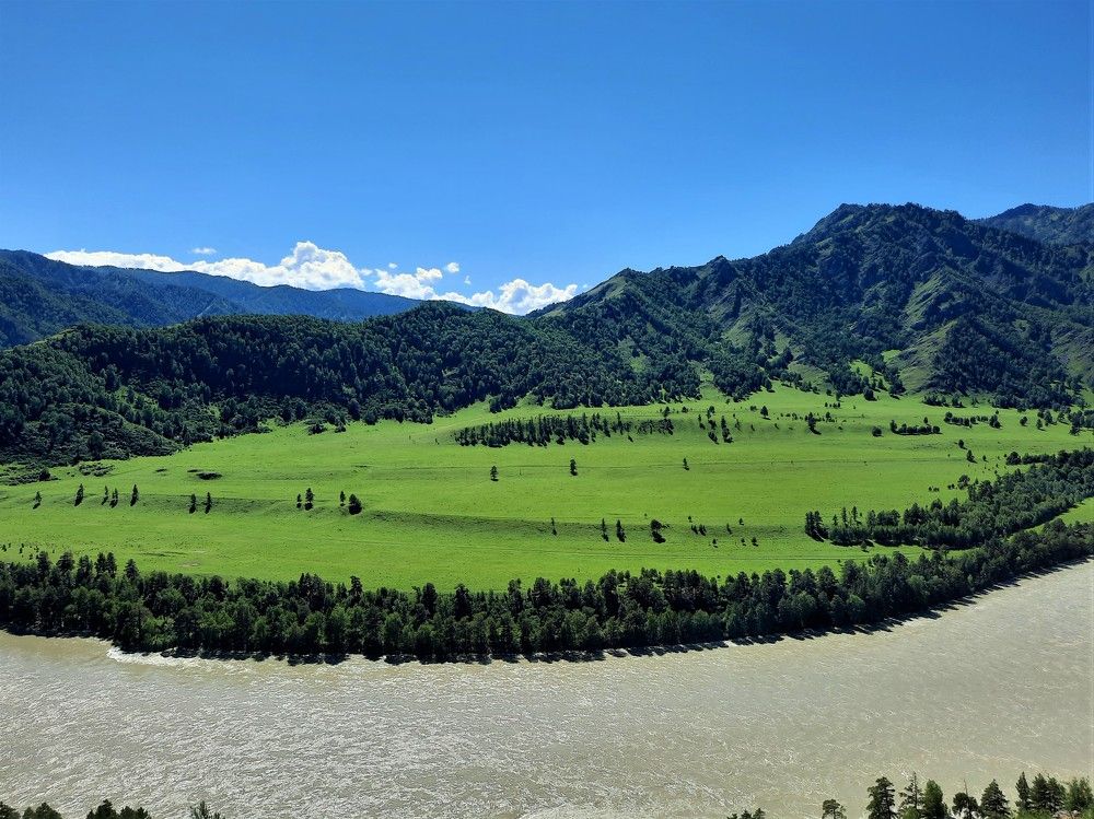 Фотография автора Елена Пикатова