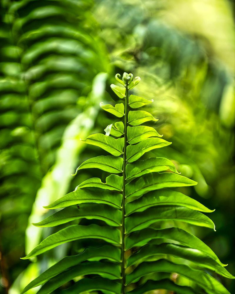 Фотография автора Raymond Asiala