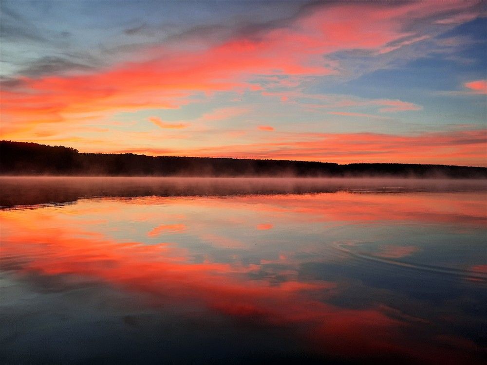 Фотография автора Елена Пикатова