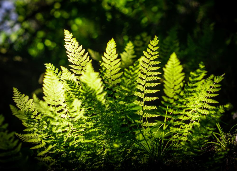 Photograph by Ганюшкин Владимир