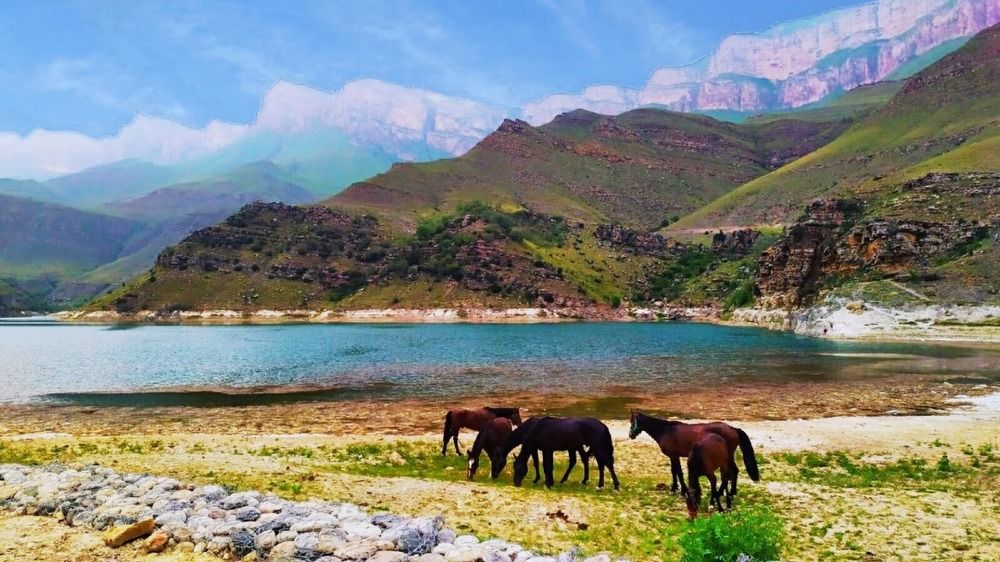 Photograph by Татьяна Рябова