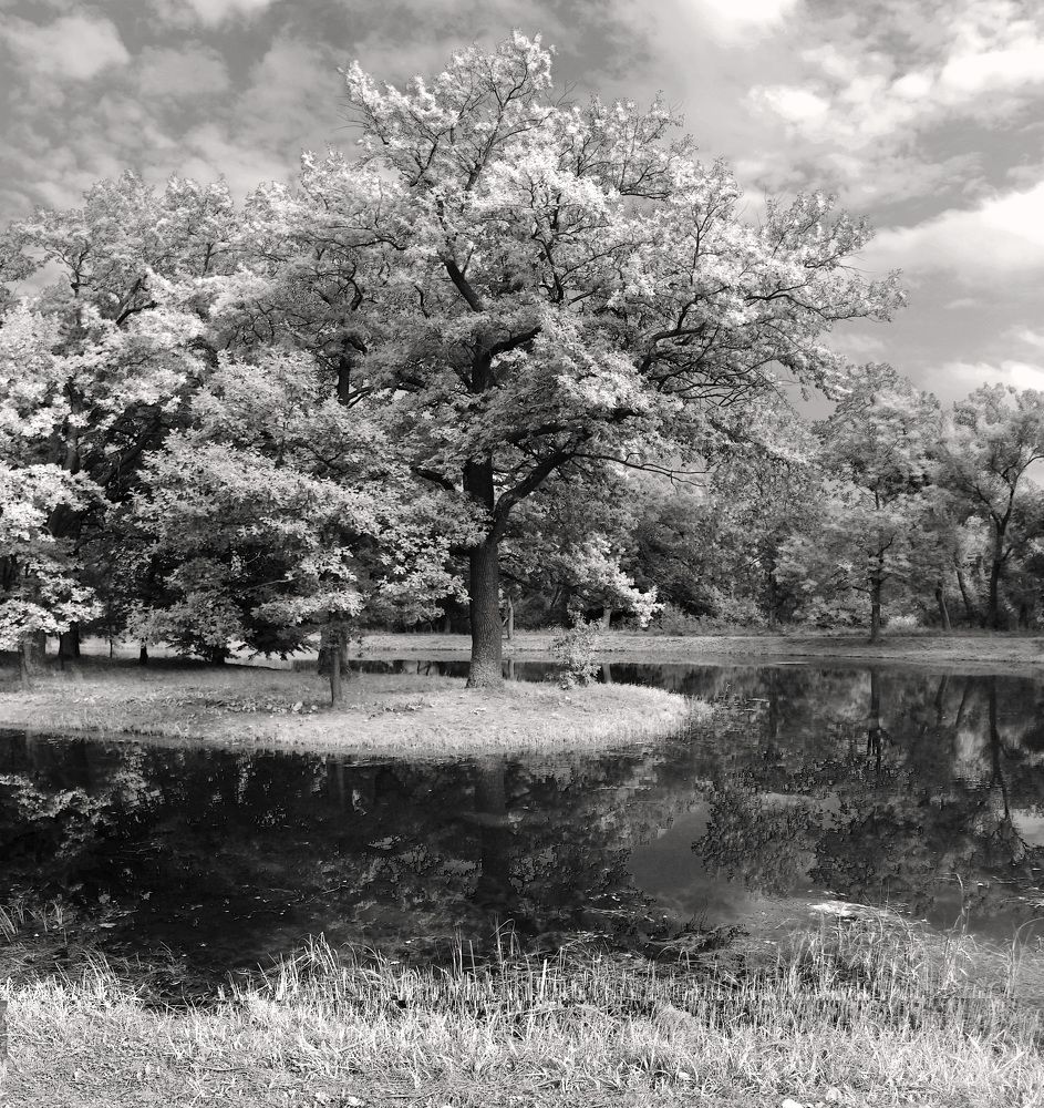 Photograph by 