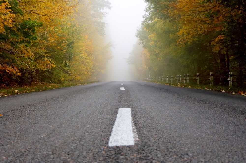 Photograph by Сергей Малыхин