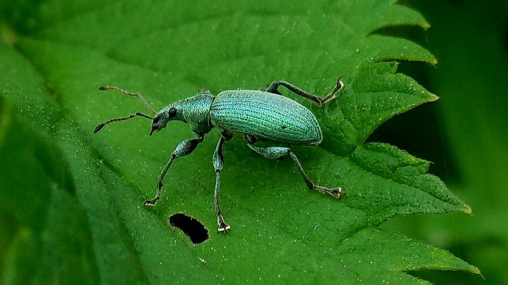Фотография автора Павел Попов