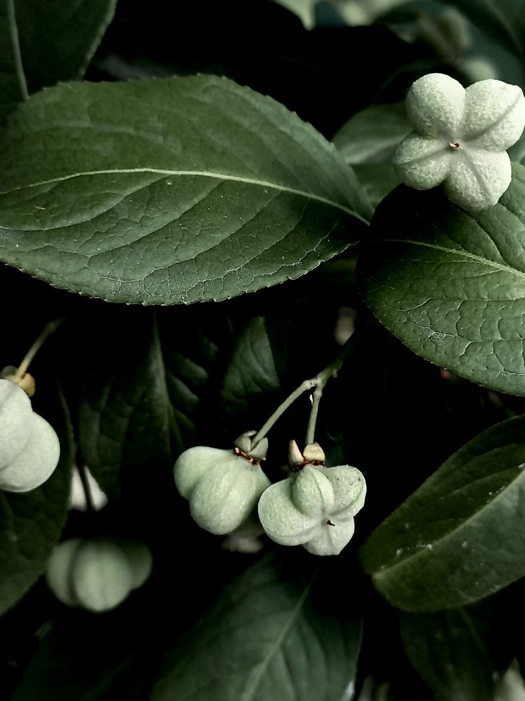 Photograph by Зоя Кулько