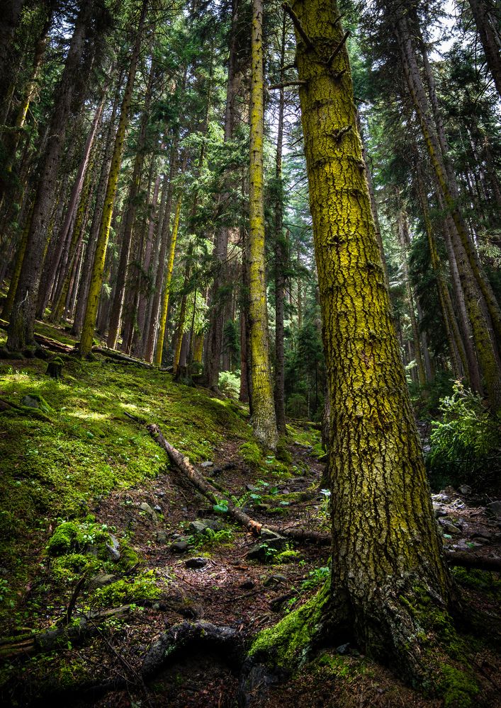 Photograph by Ганюшкин Владимир