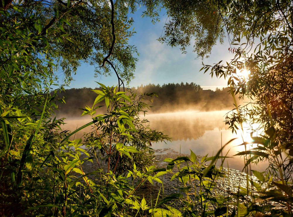Photograph by Валерий Савостьянов