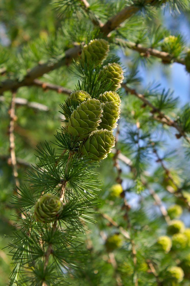 Photograph by Евгений Беленков