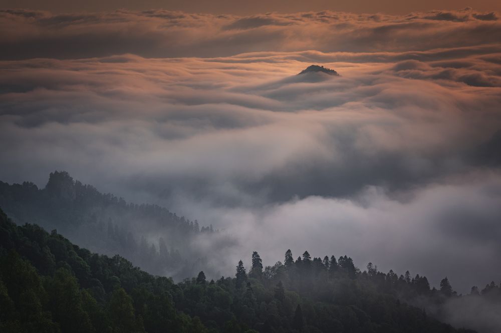 Photograph by Елена Лебедева