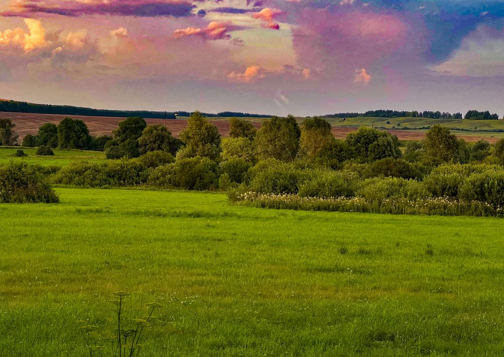 Photograph by Елена Сиушова