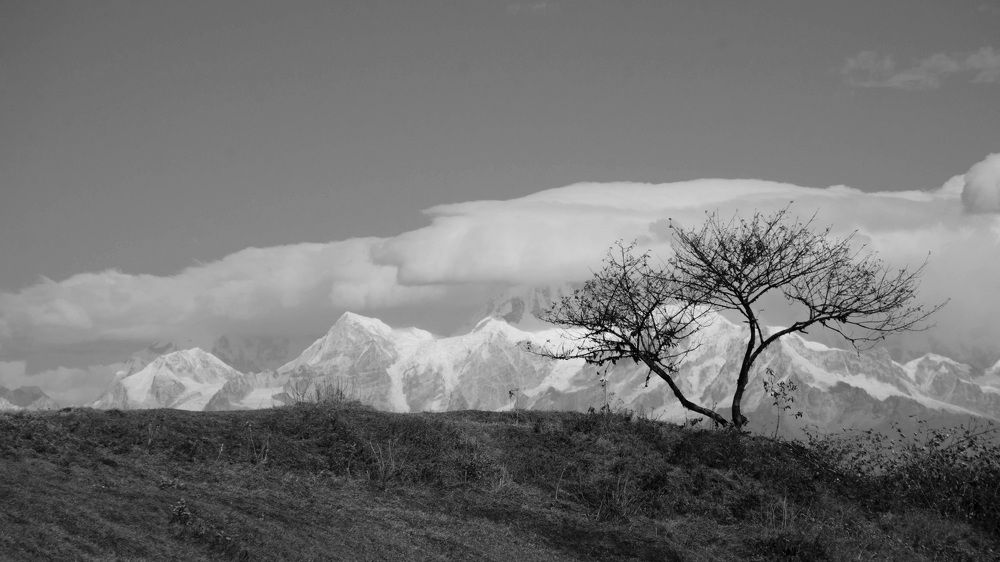 Photograph by Biswa Tshering Tamang