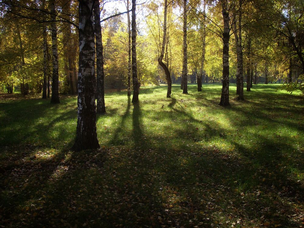 Photograph by Светлана Барабанова