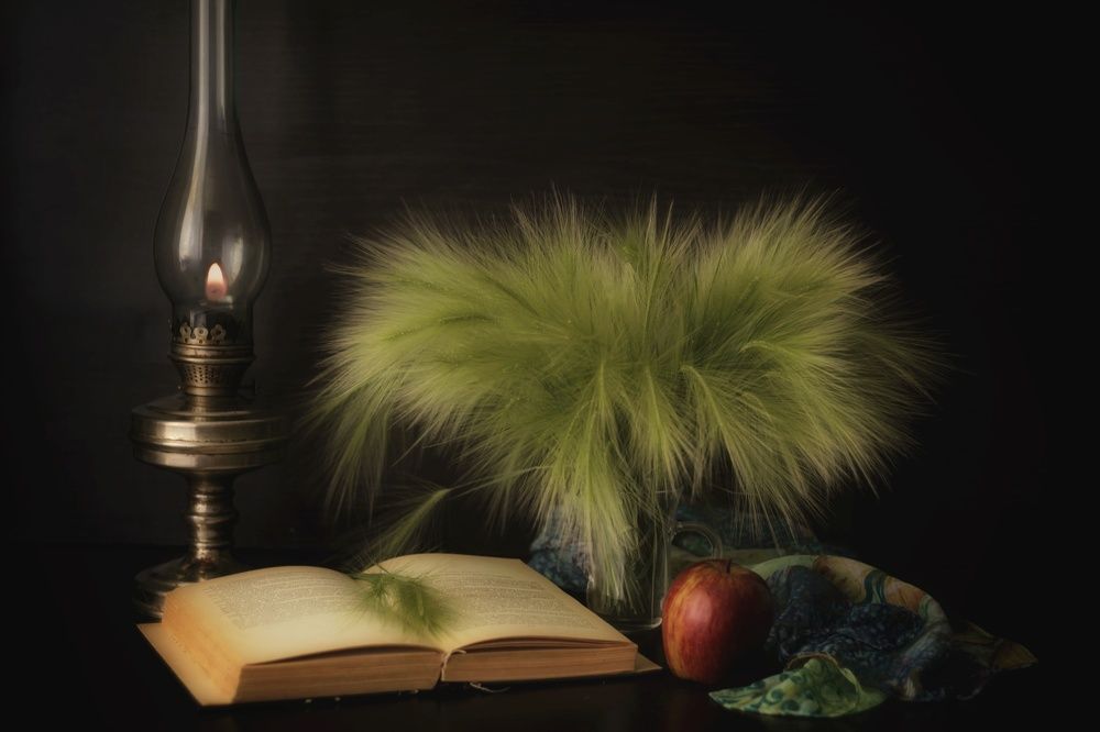 Photograph by Гульжан Шарипова