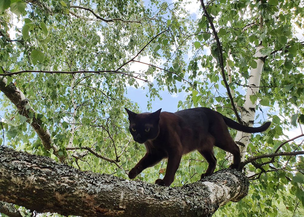 Фотография автора Надежда Лисицына