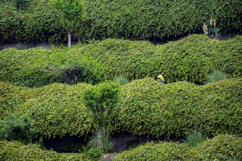 Photograph by Mahmoodreza Noraei