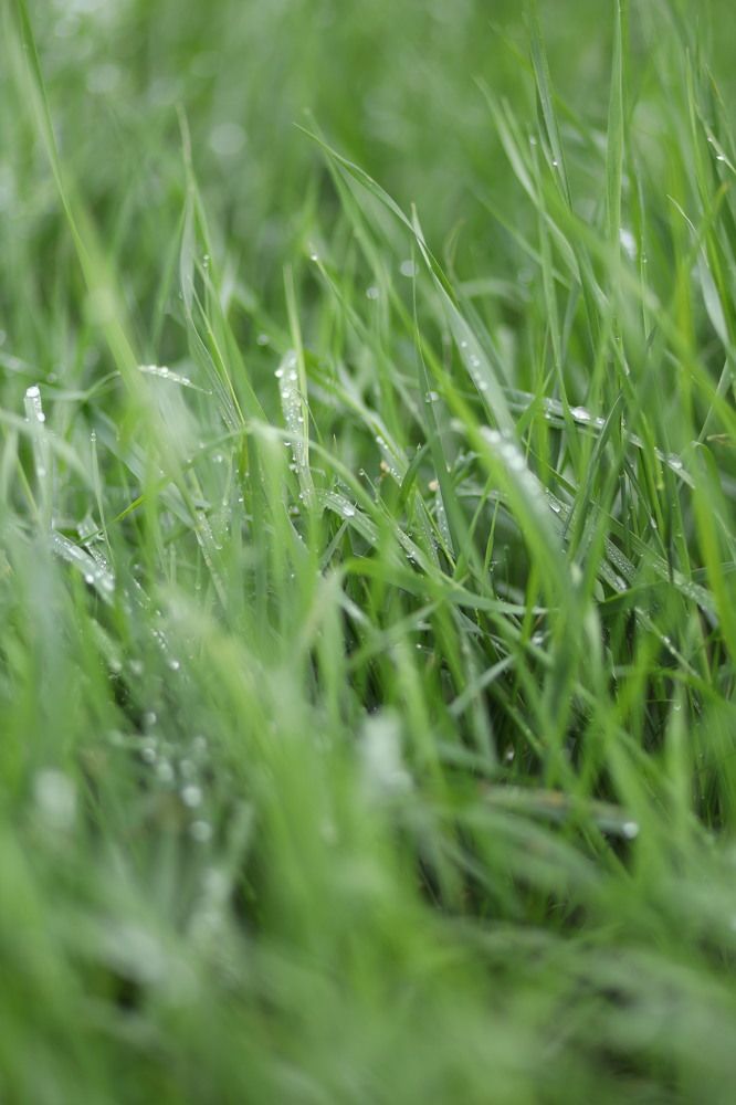 Photograph by Бальзирова Наталья