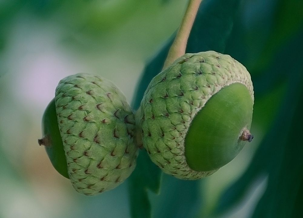 Photograph by Mahmoodreza Noraei