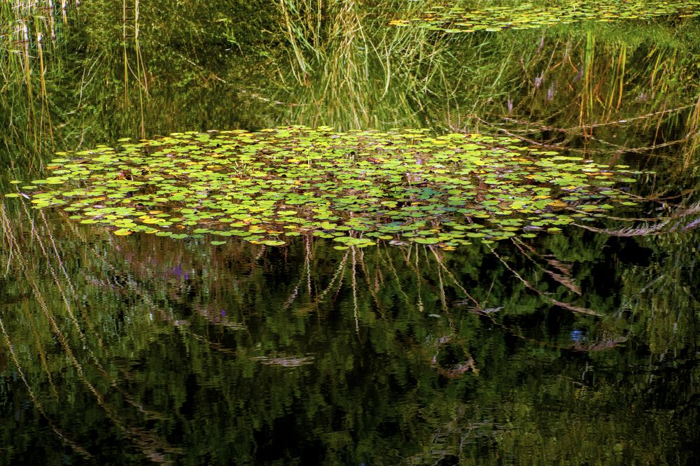 Photograph by Mahmoodreza Noraei