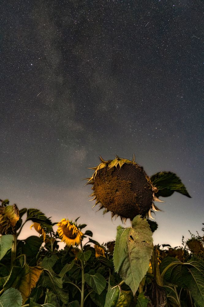 Photograph by Руслан Нигматуллин