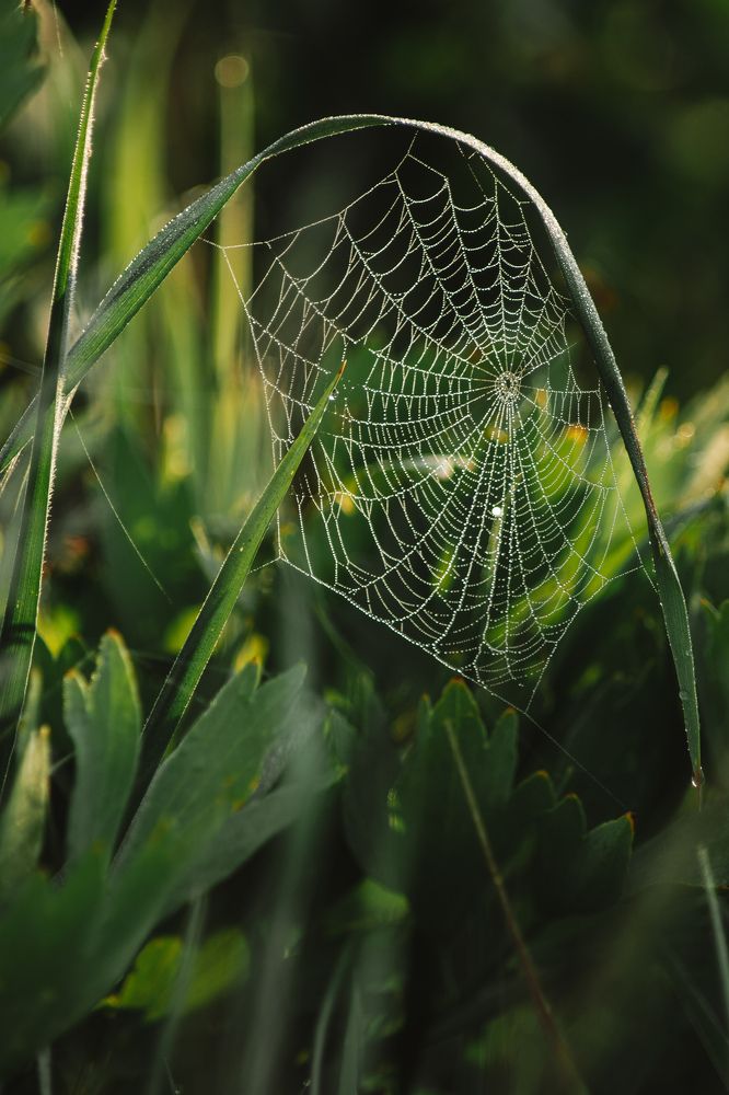 Photograph by Альбина Баташова