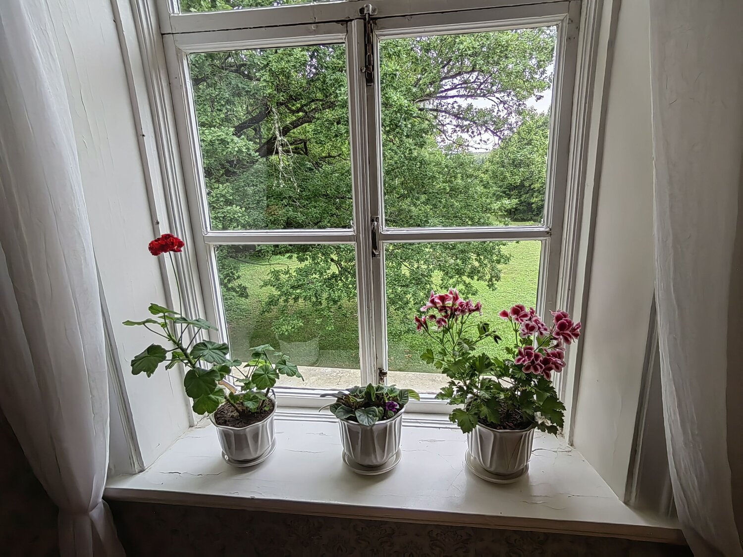 Photo #7959368