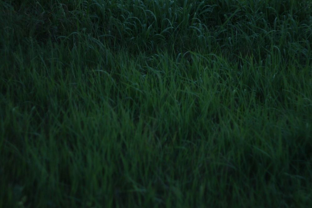 Photograph by Татьяна Аршинова