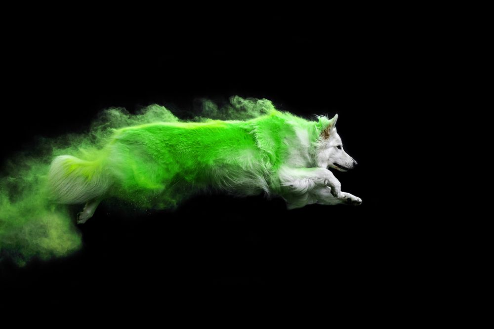 Фотография автора Екатерина Киреева